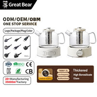 Bouilloire électrique en verre borosilicate Great Bear 700W, chauffe-eau rapide, pour café et thé, avec infuseur
