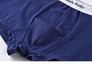 Boxers de luxe pour hommes, sous-vêtements de créateur grande taille, sexy, avec logo personnalisé, sous-vêtements pour hommes 2026 - Product Image 4
