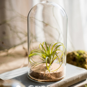 Cúpula de cristal personalizada hecha a mano con base de madera, forma cuadrada, tamaño personalizado, el mejor precio para el Día de San Valentín y Navidad - Product Image 4