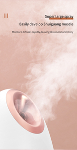 Professional Nano Ionic Warm Mist Home Face <strong>Sauna</strong> Portable Humidifier Machine Deep Clean Tighten Skin Daily Hydration