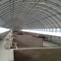 Poulailler mobile Hangar à poulets de chair Maison mobile en plastique Verre Serre agricole pour l'élevage de volailles et de poulets