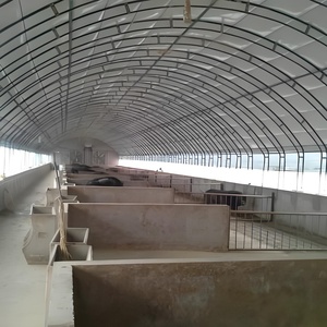 <span class=keywords><strong>Poulailler</strong></span> mobile Hangar à poulets de chair Maison mobile en plastique Verre <span class=keywords><strong>Serre</strong></span> agricole pour l'élevage de volailles et de poulets - Product Image 6