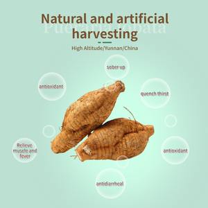 مستخلص جذور الكودزو الصحي للنساء، مكمل غذائي من البويرارين، عبوة بلاستيكية صالحة للأكل، مجفف بالهواء الساخن بنسبة 70%، غني بالفيتامينات، يساعد على توازن الهرمونات - Product Image 3