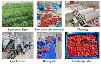Beste Prijs Iqf Biologische Bevroren Aardbeien Nieuw Seizoen Versheid Hoge Kwaliteit Bevroren Fruit