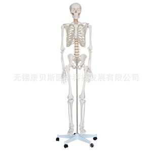 KBS/XC101170cm - Product Image 2
