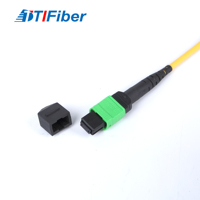 Câble Trunk Fibre Optique 12 Fibres MPO-LC Monomode G657A1 A2 avec Brindilles 50CM 60CM, Cordon de Brassage pour Centre de Données Utilisation 400/800G