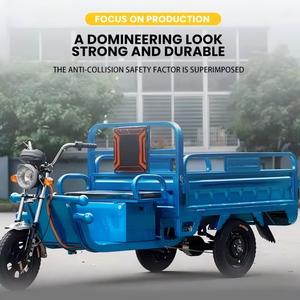 最畅销的1000W电动货运三轮车，可载2人，60V电动三轮车，有封闭式和开放式车身类型可供销售 - Product Image 1