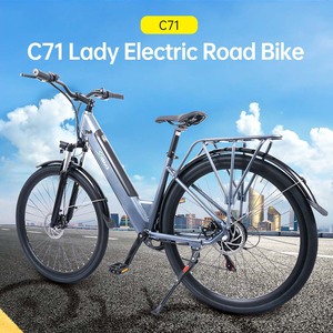 Bicicletas Eléctricas de 36V 10.5Ah 250W para Damas, Estilo Retro, OEM, Cuadro Grande de 700C, Bicicleta Eléctrica para Desplazamientos Urbanos, Precio al por Mayor - Product Image 2