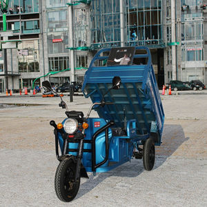 Fabriek Directe Open-Body Driewielige Elektrische Driewielers Voor Volwassenen Alleen Kale Auto Batterij Niet Inbegrepen - Product Image 1