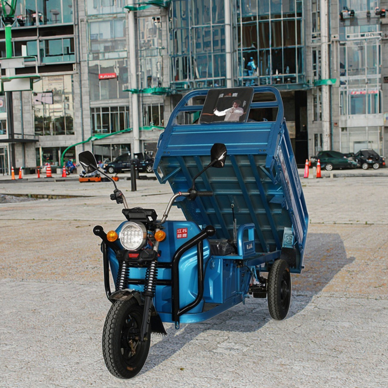 Factory Wholesale Cargo Motorized Tricycle With