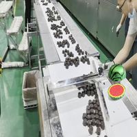 Machine d'emballage entièrement automatique à opercule thermoscellant rapide pour chocolat en demi-sphère imprimé couleur, sur mesure
