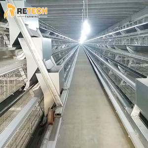 Gabbia per Galline Ovaiole Zincata a Caldo, a Più Livelli, per 10.000 Polli, con Struttura a Telaio - Product Image 5