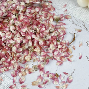 Confete de Casamento Quadrado Multicolorido de Alta Qualidade, Biodegradável e Ecológico, Embalagem Personalizada de Marca Privada de 10g - Product Image 5