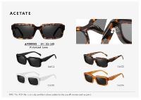 2025 modèle VS9006S Rectangle surdimensionné acétate lunettes de soleil lunettes de soleil polarisées prêt Stock lunettes Fra