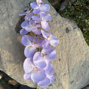 Orchidées artificielles réalistes en soie imprimées en 3D, Phalaenopsis en gros pour la décoration de la maison, du salon, de la remise des diplômes et de Pâques - Product Image 2