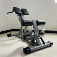 Usine En Gros Commercial Réglable Chaise Romaine Dos Extension Banc Multifonctionnel Home Gym Taille Formation Core Stabilité