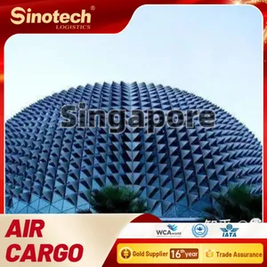 Servicio de logística internacional de reenvío Aéreo profesional agente de carga puerta a Singapur desde China