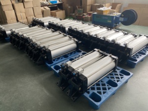 Cilindro Pneumatico Personalizzato Non Standard, Standard ISO15552 ISO6431, Fabbrica Professionale OEM ODM, Corea del Sud, Distribuzione Mondiale - Product Image 3