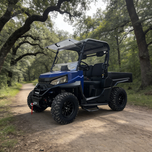 73.6V 4WD Off Road UTV 10KW AC Motor EPS Steering 350kg Load