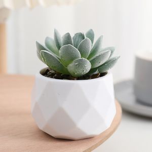 Décoration de <span class=keywords><strong>plantes</strong></span> artificielles en plastique <span class=keywords><strong>mini</strong></span> <span class=keywords><strong>plantes</strong></span> <span class=keywords><strong>succulentes</strong></span> bonsaï <span class=keywords><strong>plantes</strong></span> avec Pots en céramique - Product Image 3