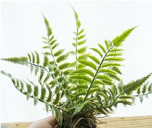 Grande Plante Artificielle Murale Décorative pour Jardinage, DIY, avec Fleurs et Fougères Artificielles pour Gazon Synthétique - Product Image 6
