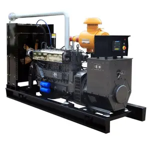 10kw 15kw 20kw 50kw to 300kw Silent LNG CNG Electric Natural Gas Engine Power Generator gas generator natural gas generator set