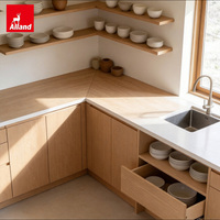 Armoires de cuisine en bois massif Alland, panneaux mats beiges chauds, doux et crémeux, style minimaliste, pour projets de rénovation d'appartements