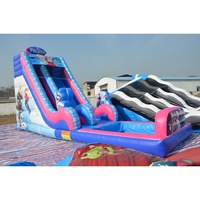 Toboggan aquatique gonflable de qualité commerciale en PVC avec piscine d'éclosion, toboggan aquatique gonflable glacé pour la location d'événements estivaux
