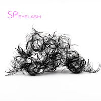 SP EYE LASH Vente en gros Marque privée Fans de cils pré-faits 3D 8D Pro en vison, à base pointue, courbures Mink C CC D, Promade Loose Fans