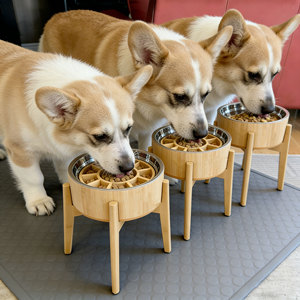 Tigelas Elevadas para Cães/Gatos com Alimentador Lento, Tigela de Bambu com Suporte de Aço Inoxidável - Resistente a Quedas - Product Image 1