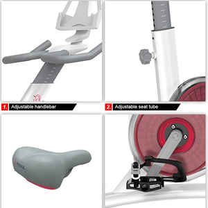 Bicicleta Estática Profesional de Acero para Gimnasio en Casa, con Transmisión por Correa, Resistencia Magnética, Pantalla LCD, Modelo <span class=keywords><strong>Yesoul</strong></span> G1Mplus - Product Image 5