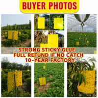 Waterdichte fruitvliegval met dubbelzijdige gele kleefstrips voor thrips/bladluizen/witte vliegen, 0,23 mm dik.