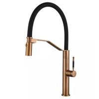 Cuisine de luxe mitigeur or brossé noir robinet d'eau robinet de cuisine mitigeur chaud et froid robinet de cuisine