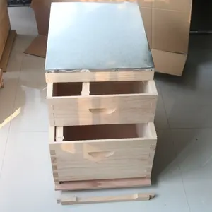 Ruche en bois pour abeilles, équipement pour apiculture, Super boîte, ruche depuis la chine, en vrac, exportation