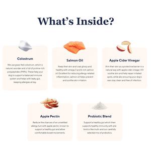 Alergia Inmune Anti-Itch Support Soft Chews Suplemento para mascotas para el cuidado de la salud del perro y el alivio de la picazón Immune Booster - Product Image 3