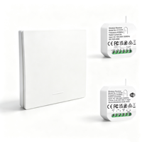 Kit d'interrupteur sans fil cinétique auto-alimenté sans batterie RF433 avec récepteur RF pour le contrôle de l'éclairage domestique 2 voies