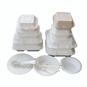 biodegradable eco friendly disposable bagasse tableware