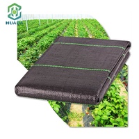 Film anti-herbe en plastique noir pour serre agricole, tissu tissé en PP, rouleau de paillis anti-mauvaises herbes