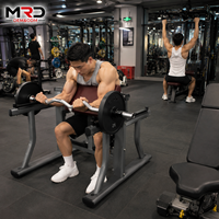Banc de musculation Preacher Curl pour biceps, station d'entraînement des bras, équipement de musculation à domicile pour la force et l'entraînement avec poids libres