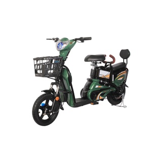 Vélo électrique adulte OEM 14 pouces, moteur arrière 48V 350W, batterie au plomb-acide, longue autonomie, double suspension, vélo de ville pour trajets quotidiens - Product Image 1