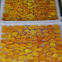 Gedroogde Fruitverwerkingsapparatuur Mango En Pawpaw Droogmachine Gedroogde Vruchten Mango Productielijn