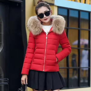 Winter-Oberbekleidung für Damen in Übergröße: Verdickte Pelzkapuzen-Parka, Warmer Mantel, Schlanke Damenkleidung - Product Image 3