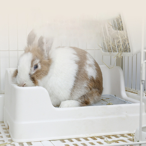 Inodoro de conejo grande de tipo dividido anti-PET vuelco anti-spray inodoro orinal - Product Image 6
