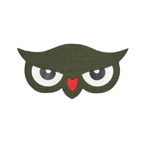 Laser tactique OWL Laser Glow in Dark Animal Eyes Eagle Head Fabric Nylon Eyes Glow in Dark Patch pour sac chapeau Applique Sew-on