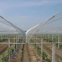 Multispan Agricultural Greenhouses, Film Farming, Garden