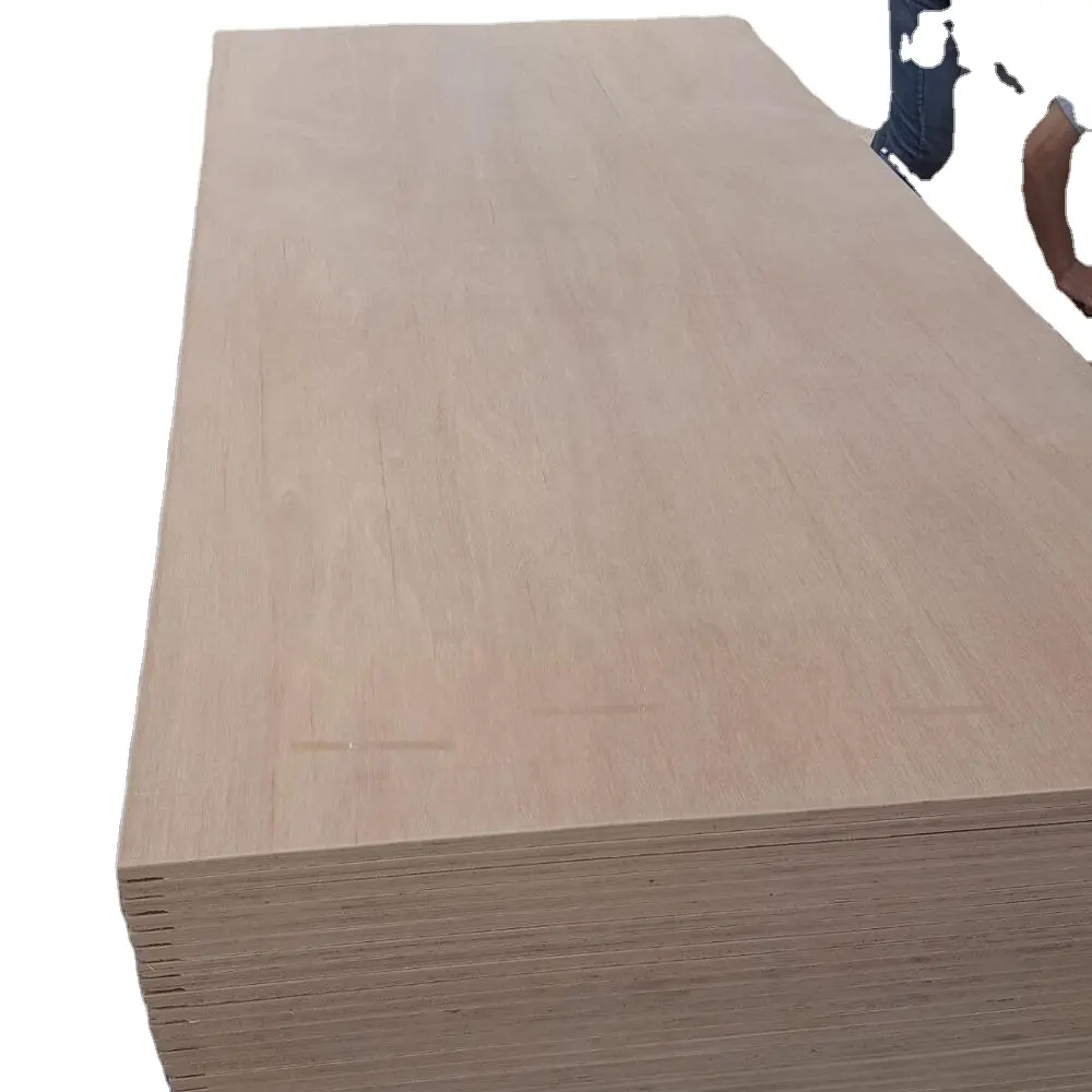 Contreplaqué pour plancher de bois, conteneur en contreplaqué de 28mm de diamètre 1220x2440mm/1160x2400mm