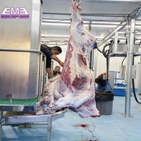 Scie à viande halal pour abattoir de bovins (10-60 unités) – Équipement d'abattage de bétail – Scie à découper le bœuf pour machine d'abattage