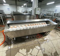 Kleine commerciële eierwasmachine met borstel, automatische reiniging & droging, 304 roestvrij staal voor verse eieren