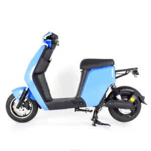 Elyxon, оптовая продажа, 48 В, литий-ионная батарея, 10-дюймовый скутер, велосипед, электронные скутеры для взрослых, 500w750w1000w, Электрический скутер для взрослых