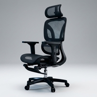 Chaise de bureau ergonomique en maille avec dossier réglable en hauteur, chaise de direction pivotante